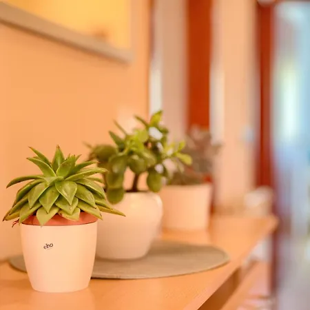 Apartmán Appartman Rozana