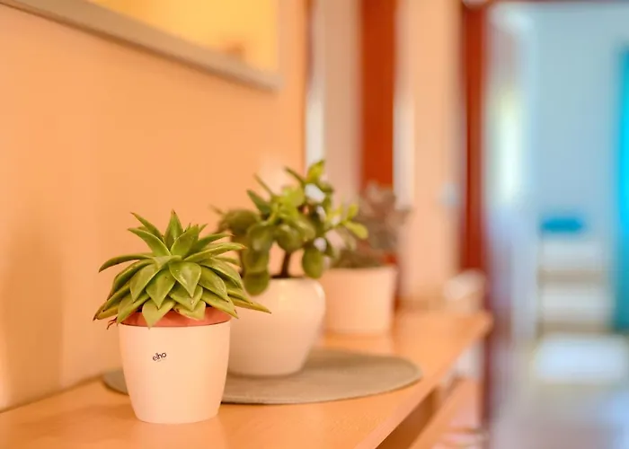 Appartement Appartman Rozana